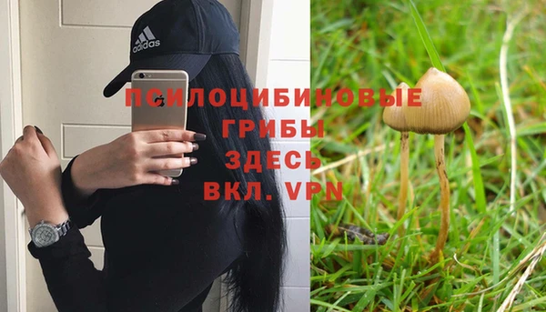 гашиш Алексин