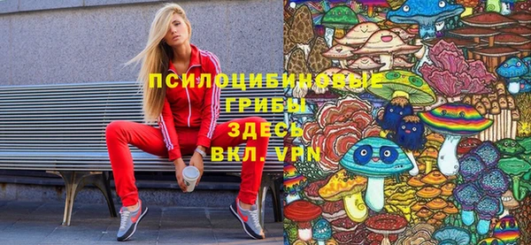 хмурый Алексеевка