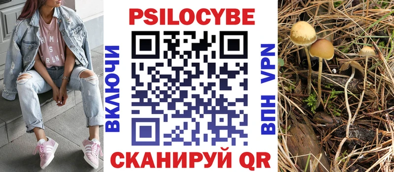 Псилоцибиновые грибы MAGIC MUSHROOMS Ветлуга