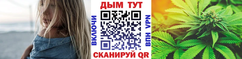 Каннабис конопля  Ветлуга 